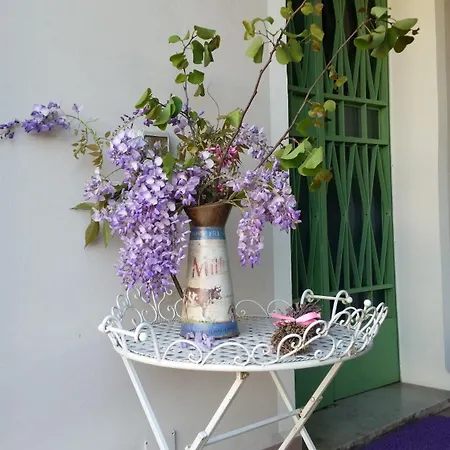 Il Giardino Di Mago 別荘 Massa