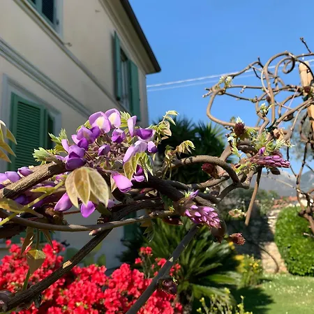 Il Giardino Di Mago *