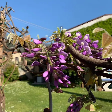 Il Giardino Di Mago 別荘 *
