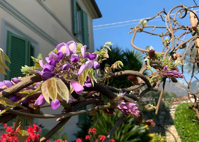 Il Giardino Di Mago *