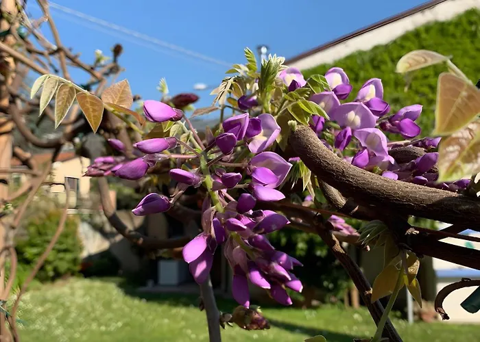 Il Giardino Di Mago 別荘 *
